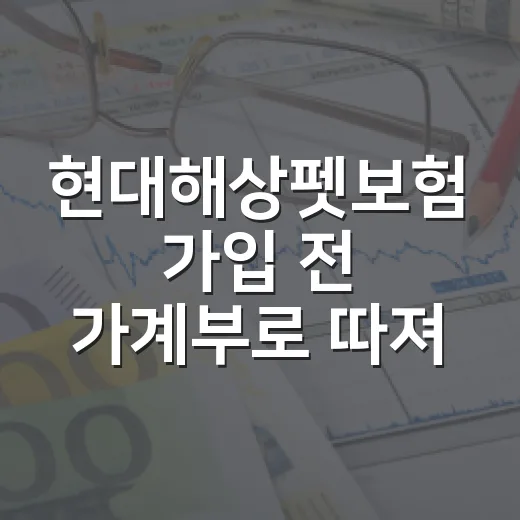 현대해상펫보험 가입 전 가계부로 따져볼 4가지 - 요약