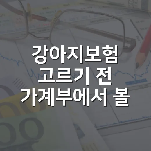 강아지보험 고르기 전 가계부에서 볼 5가지 - 요약