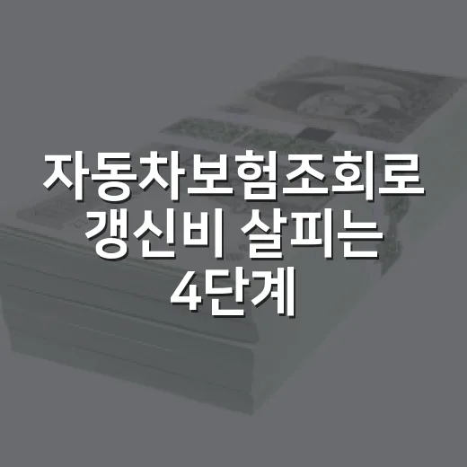 자동차보험조회로 갱신비 살피는 4단계 - 요약
