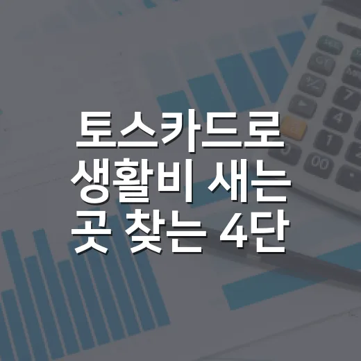 토스카드로 생활비 새는 곳 찾는 4단계 - 요약