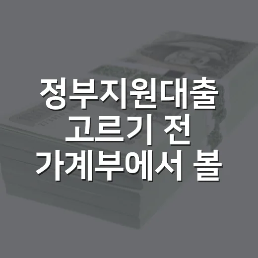 정부지원대출 고르기 전 가계부에서 볼 4가지 - 요약