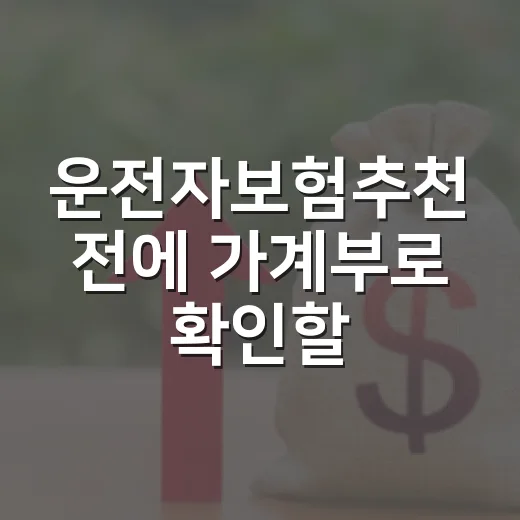 운전자보험추천 전에 가계부로 확인할 4가지 - 요약