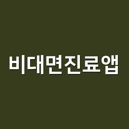 비대면진료앱, 어디까지 믿고 써도 괜찮을까요? - 요약