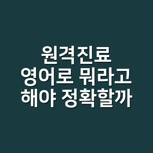 원격진료 영어로 뭐라고 해야 정확할까요? - 요약