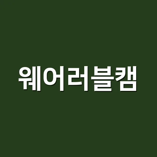 웨어러블캠, 건강관리용으로 믿고 써도 괜찮을까요? - 요약