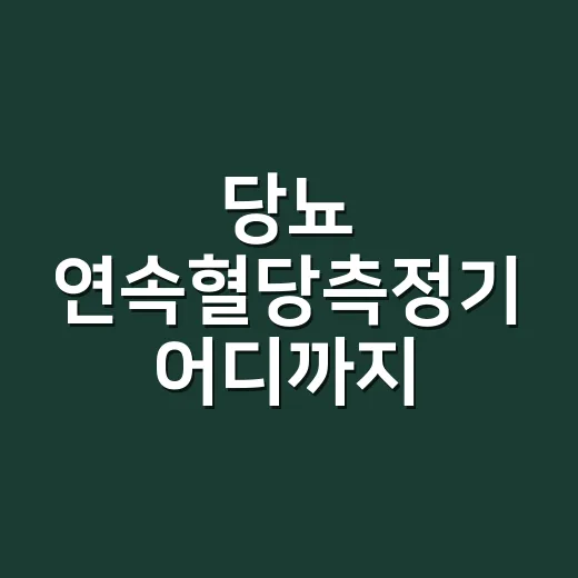 당뇨 연속혈당측정기 어디까지 믿어도 될까요? - 요약