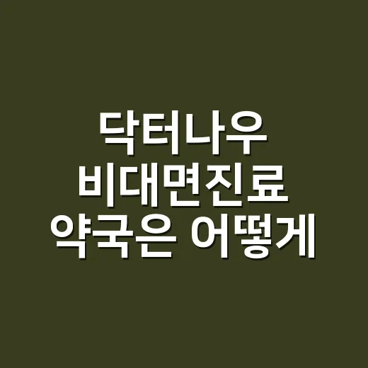 닥터나우 비대면진료 약국은 어떻게 이용하나요? - 요약