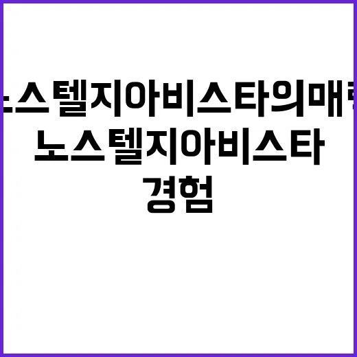 노스텔지아 비스타의 매력을 경험하는 방법 - 요약