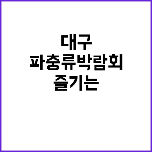 대구 파충류 박람회 즐기는 방법 - 요약