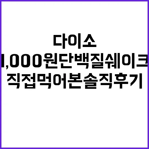 다이소 1,000원 단백질 쉐이크, 직접 먹어본 솔직 후기 - 요약