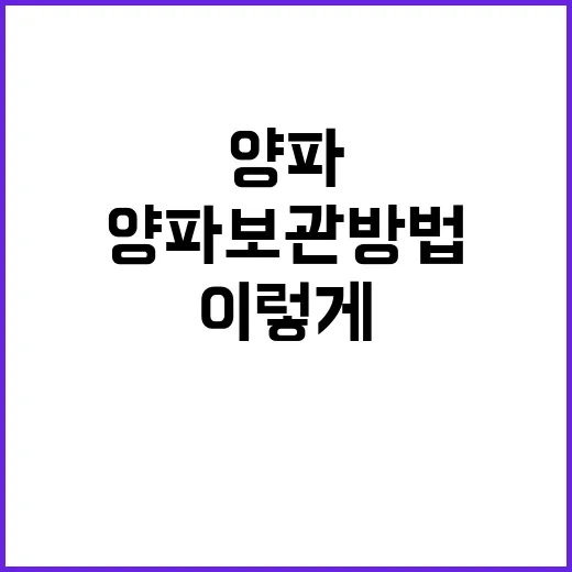양파 보관방법 초보자도 실패 줄이려면 이렇게 하세요 - 요약