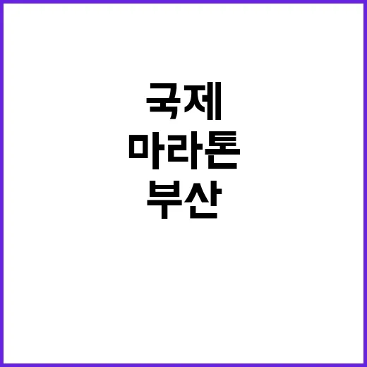 부산국제마라톤 참가하려면 이렇게 준비하세요 - 요약