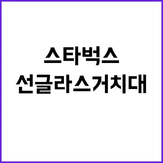 스타벅스 선글라스 거치대 활용하는 방법, 카페 감성 수납을 집에 들이는 법 - 요약