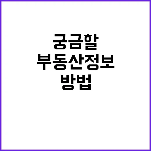나연 엄마처럼 가족 이슈가 궁금할 때 부동산 정보 확인하는 방법 - 요약