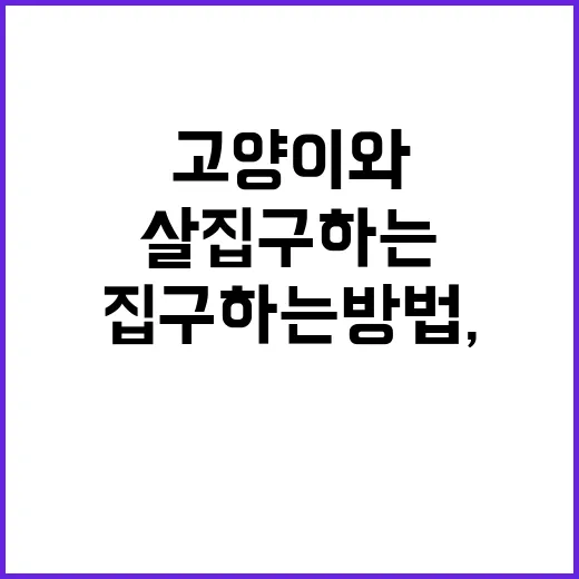 고양이와 함께 살 집 구하는 방법, 계약 전 이렇게 확인하세요 - 요약