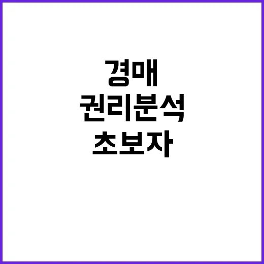 초보자를 위한 빌라경매 입찰하는 방법, 권리분석부터 낙찰가 계산까지 - 요약