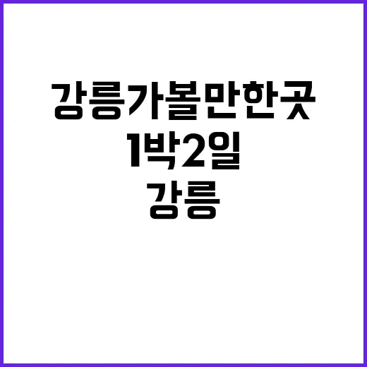 강릉가볼만한곳 실패 없이 고르는 방법: 초보 여행자를 위한 1박 2일 동선 - 요약