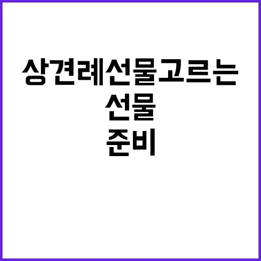 상견례선물 고르는 방법, 부담 없이 예의 지키려면 이렇게 준비하세요 - 요약