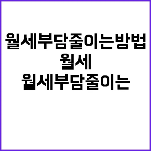 알바로 월세 부담 줄이는 방법, 집 구할 때 꼭 따져볼 기준 - 요약