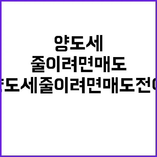 양도세 줄이려면 매도 전에 이렇게 계산하는 방법 - 요약