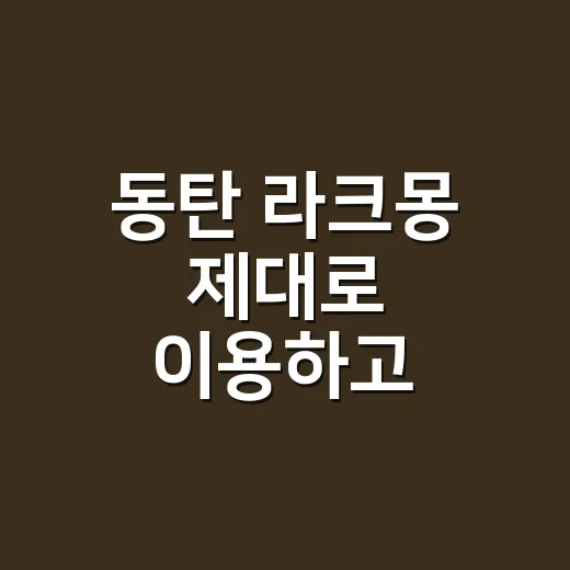 동탄 라크몽 제대로 이용하고 상권까지 판단하는 방법 - 요약