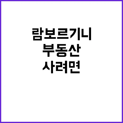 람보르기니를 사려면 부동산 자산부터 이렇게 점검하세요 - 요약