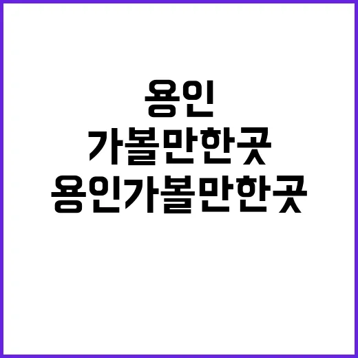 용인가볼만한곳 고르는 방법, 동선까지 편하게 잡으려면 이렇게 - 요약