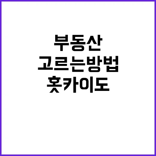 훗카이도 부동산 사려면 이렇게: 지역 고르는 방법부터 세금까지 - 요약