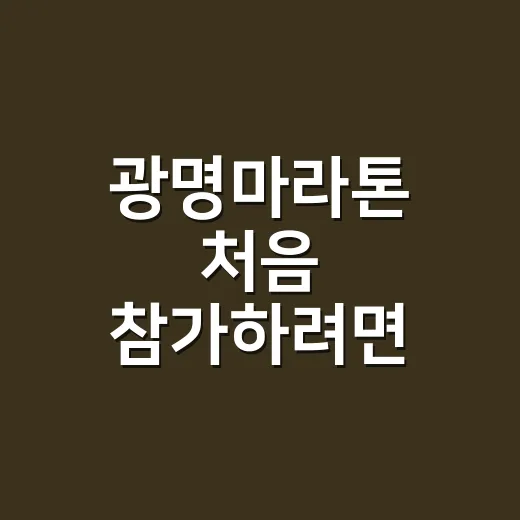 광명마라톤 처음 참가하려면 이렇게 준비하면 됩니다 - 요약