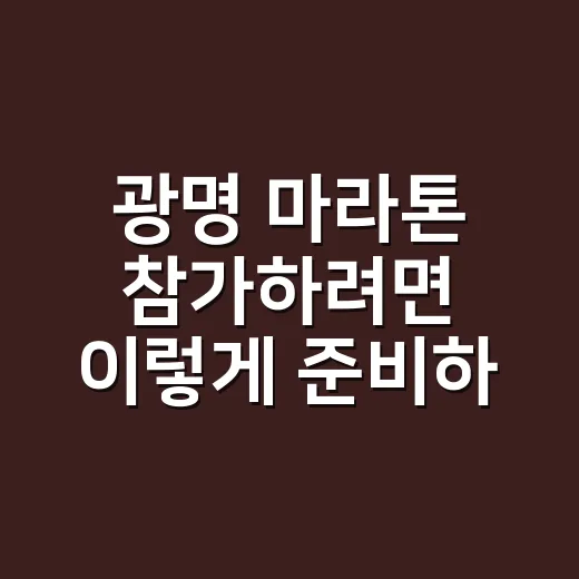 광명 마라톤 참가하려면 이렇게 준비하면 됩니다 - 요약