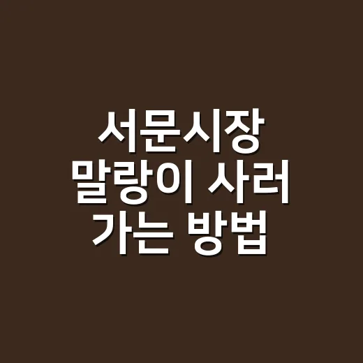 서문시장 말랑이 사러 가는 방법, 초보자도 덜 헤매는 동선과 가격 감 잡기 - 요약