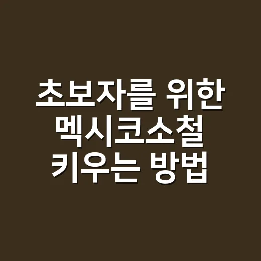 초보자를 위한 멕시코소철 키우는 방법, 집 안에서도 오래 살리려면 이렇게 - 요약