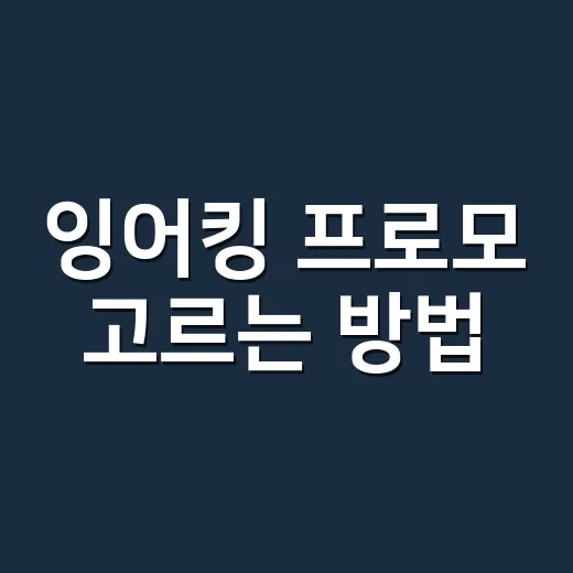 잉어킹 프로모 고르는 방법, 초보자가 가격보다 먼저 봐야 할 기준 - 요약