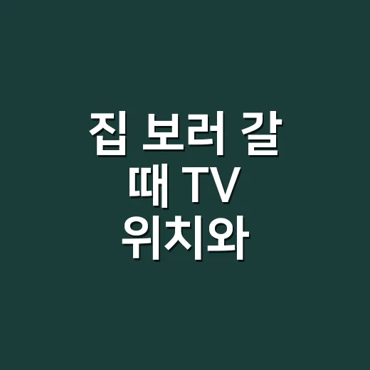 집 보러 갈 때 TV 위치와 옵션까지 확인하는 방법 - 요약