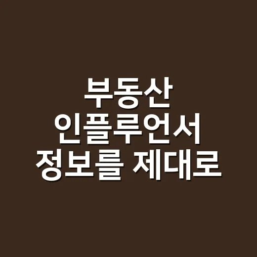 부동산 인플루언서 정보를 제대로 활용하는 방법 - 요약