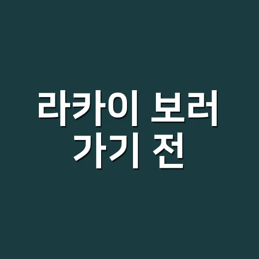 라카이 보러 가기 전, 실거주·투자 관점에서 확인하는 방법 - 요약