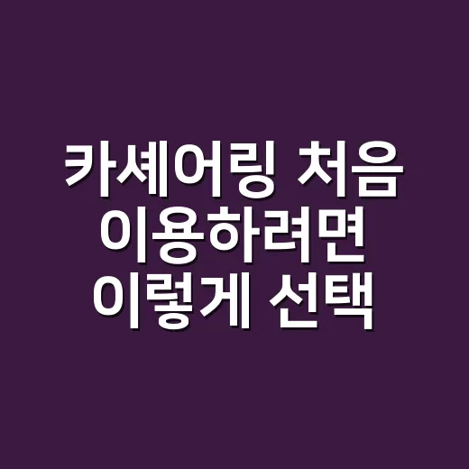 카셰어링 처음 이용하려면 이렇게 선택하면 손해가 줄어듭니다 - 요약