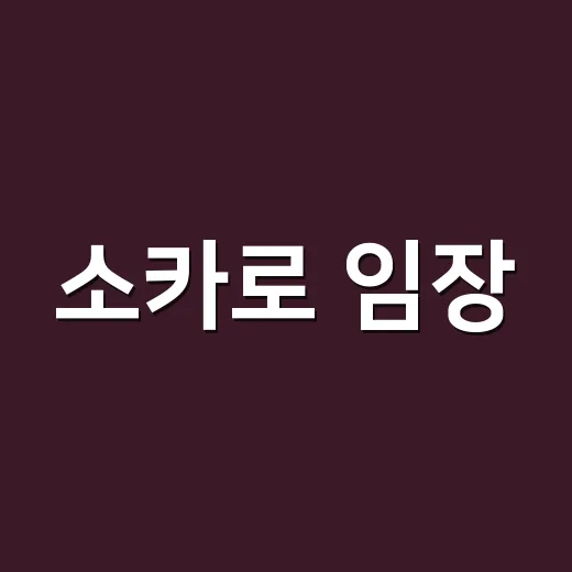 소카로 임장·집 보러 갈 때 비용 줄이는 방법 - 요약