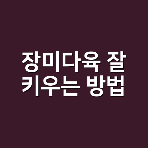 장미다육 잘 키우는 방법, 베란다 채광부터 물주기까지 초보자가 잡아야 할 기준 - 요약