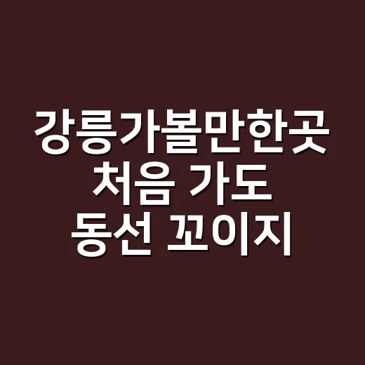 강릉가볼만한곳 처음 가도 동선 꼬이지 않게 고르는 방법 - 요약