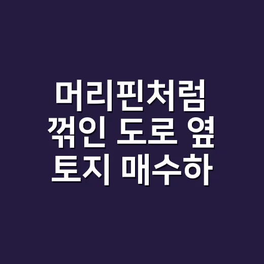 머리핀처럼 꺾인 도로 옆 토지 매수하려면 이렇게 확인하세요 - 요약