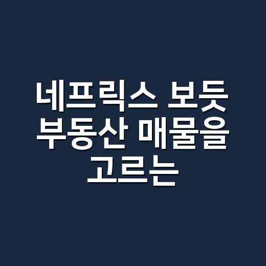 네프릭스 보듯 부동산 매물을 고르는 방법: 초보자를 위한 입지 체크법 - 요약