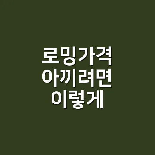 로밍가격 아끼려면 이렇게 비교하면 됩니다 - 요약