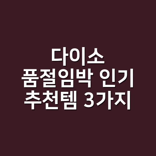 다이소 품절임박 인기 추천템 3가지 놓치지 않고 사는 방법 - 요약