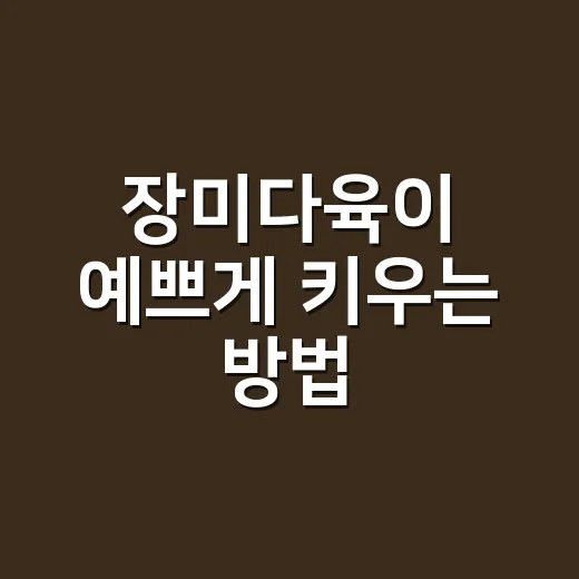 장미다육이 예쁘게 키우는 방법, 햇빛부터 물주기까지 초보자도 이렇게 하면 됩니다 - 요약
