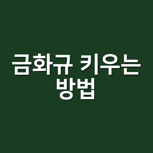 금화규 키우는 방법, 처음 심는 사람이 놓치기 쉬운 포인트 - 요약