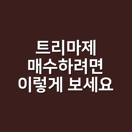 트리마제 매수하려면 이렇게 보세요: 성수동 한강변 아파트 체크 방법 - 요약