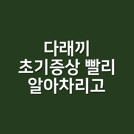 다래끼 초기증상 빨리 알아차리고 관리하는 방법 - 요약