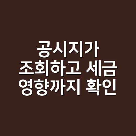 공시지가 조회하고 세금 영향까지 확인하는 방법 - 요약