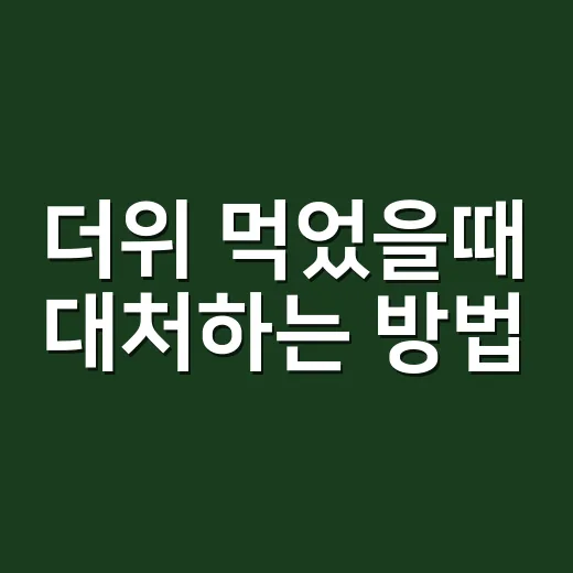 더위 먹었을때 대처하는 방법, 증상별로 이렇게 움직이면 됩니다 - 요약